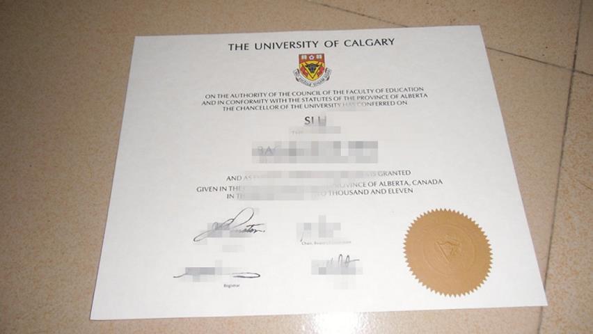 TechnischeUniversittIlmenau diploma(加里敦大学 diploma书)