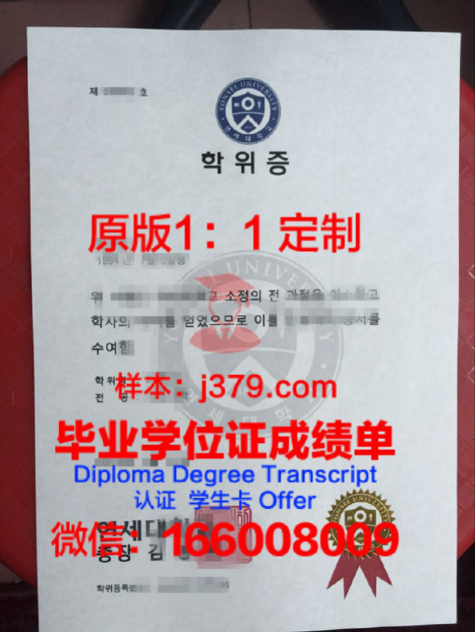 仁荷工业专门大学diploma证书(韩国仁荷工业大学)