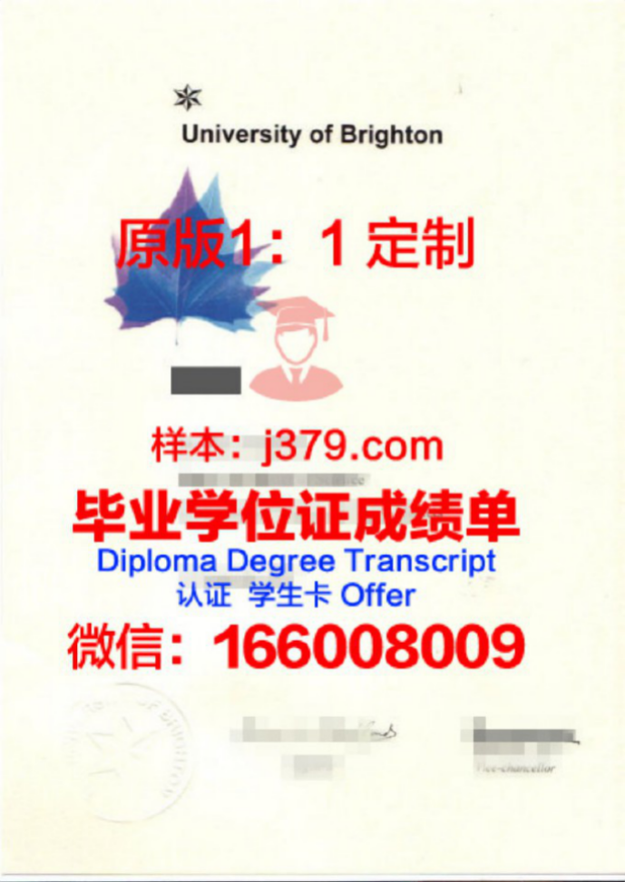 布莱顿大学毕业证Diploma文凭