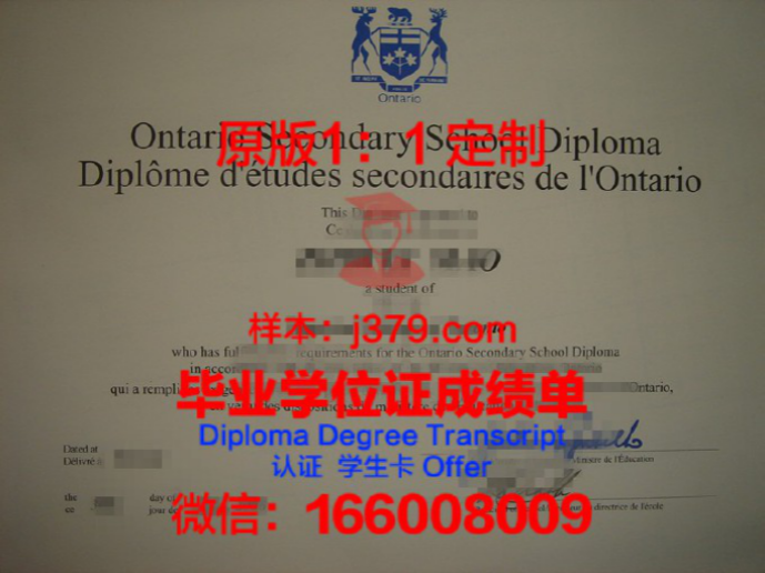 普林斯顿大学diploma证书(普林斯顿大学mpp)