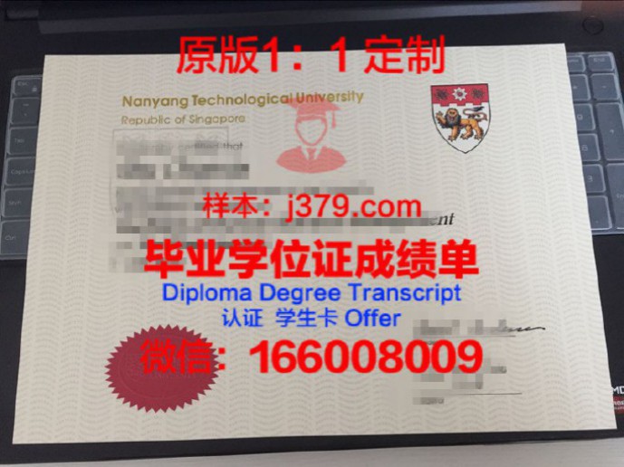 新加坡国立大学学位证书(新加坡国立大学学位证书编号是什么)