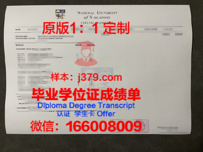 新加坡新国立大学研究生毕业证(新加坡国立大学研究生毕业证图片)