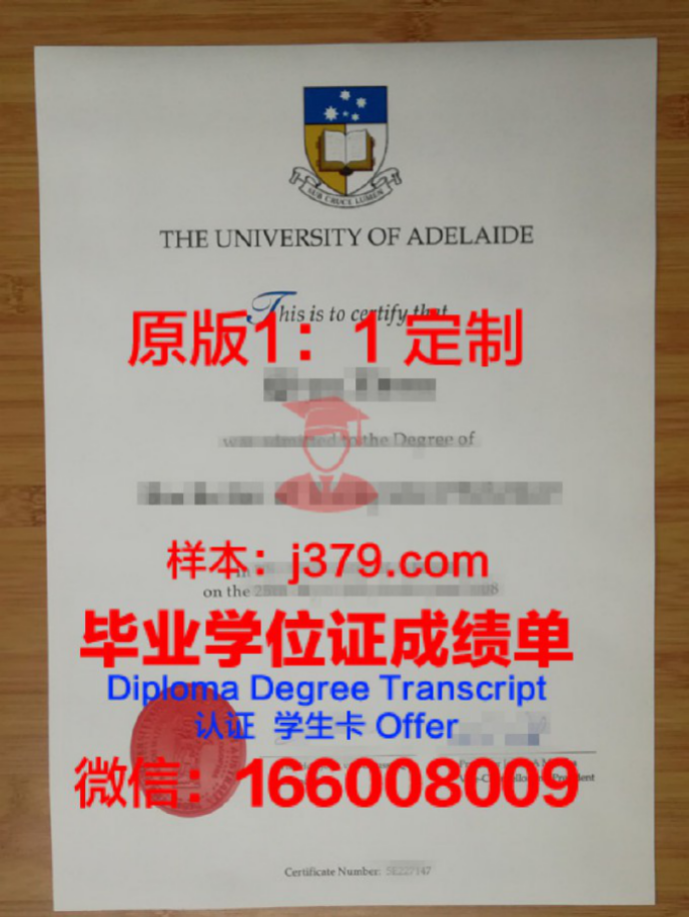 阿德莱德大学毕业证原件(阿德莱德大学贴吧)