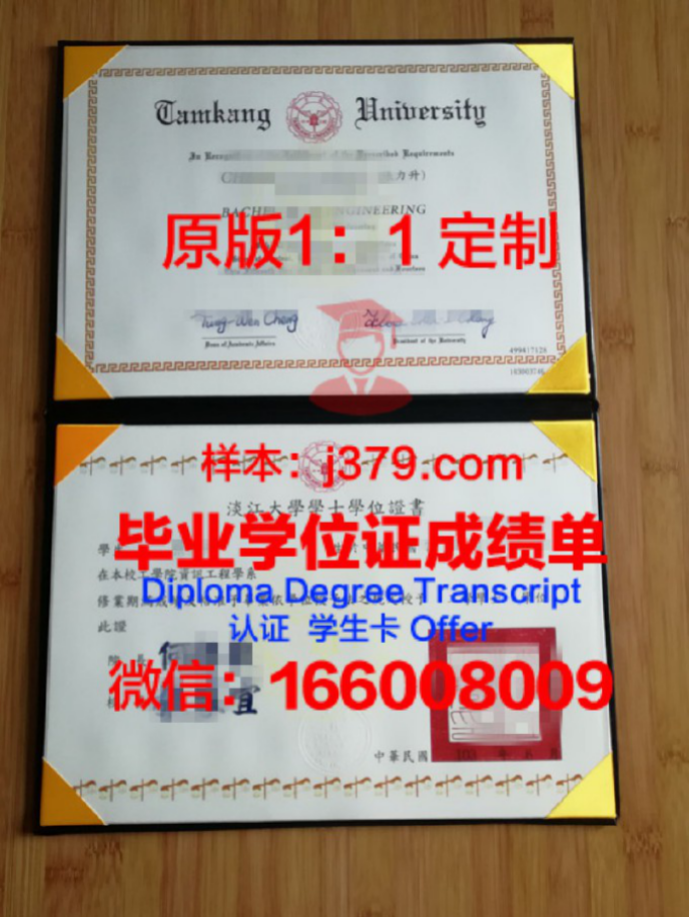 卡尔斯鲁厄理工学院毕业证学位证(卡尔斯鲁厄大学硕士留学条件)