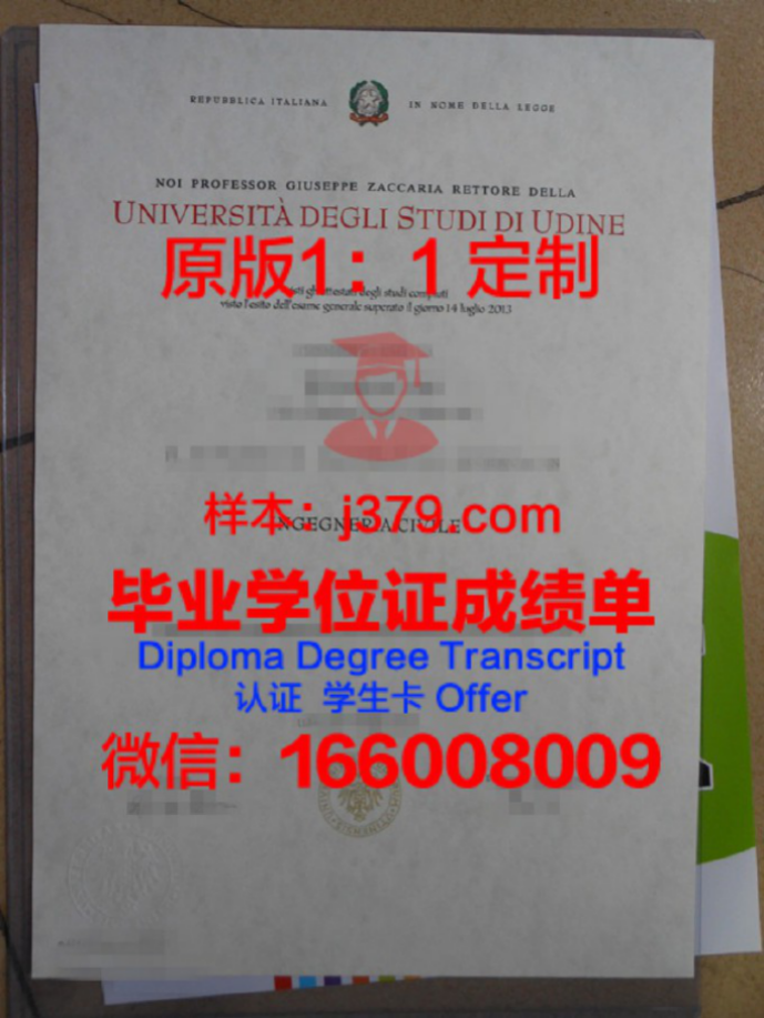 乌迪内大学硕士毕业证(乌迪内美术学院学历承认吗)