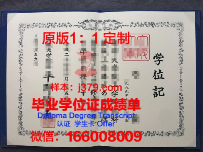 大阪市立大学毕业证Diploma文凭