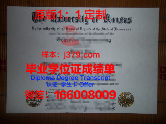 德克萨斯大学达拉斯分校毕业证Diploma文凭