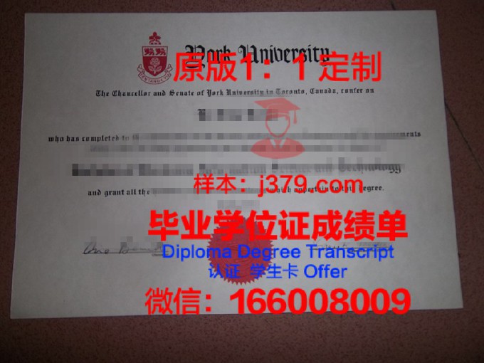 办理假日本大学毕业证(日本大学本科毕业证)