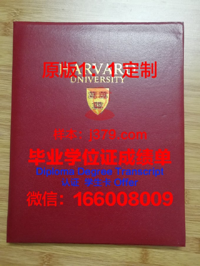 世界经济与外交大学毕业证壳子(外交学院经济学就业)