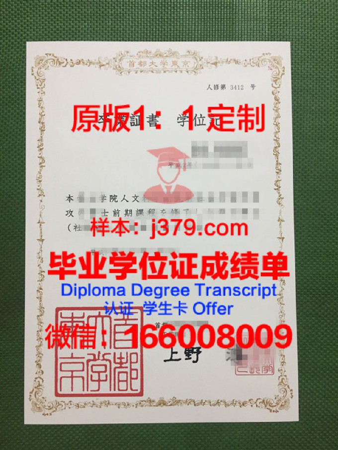 专门学校丰田东京汽车大学校硕士毕业证书样本(东京大学车辆工程专业)