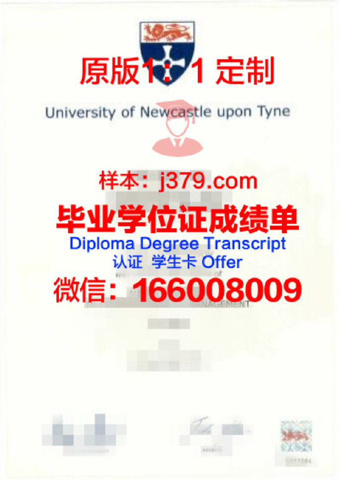 纽卡斯尔大学英国毕业证(纽卡斯尔大学英国毕业证有用吗)