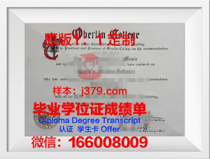 柏林工程与经济应用技术大学学位证书(柏林htw应用经济大学)