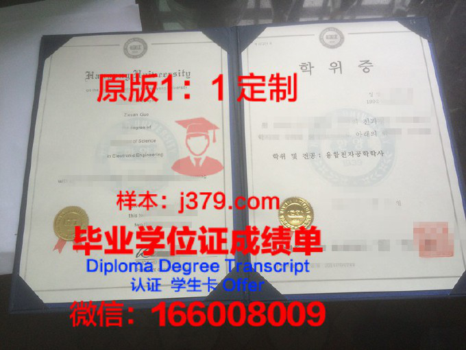 九州产业大学学位证书