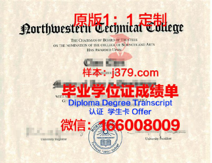 图尔昂热勒芒高等美术学院diploma证书(图尔大学)