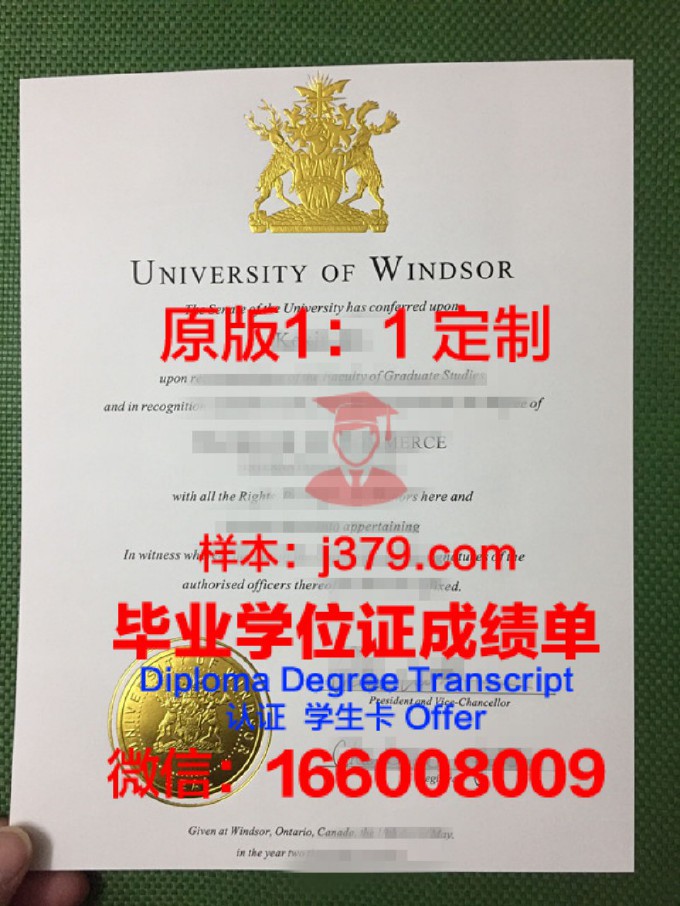 温莎大学博士毕业证书(温莎大学申请条件)