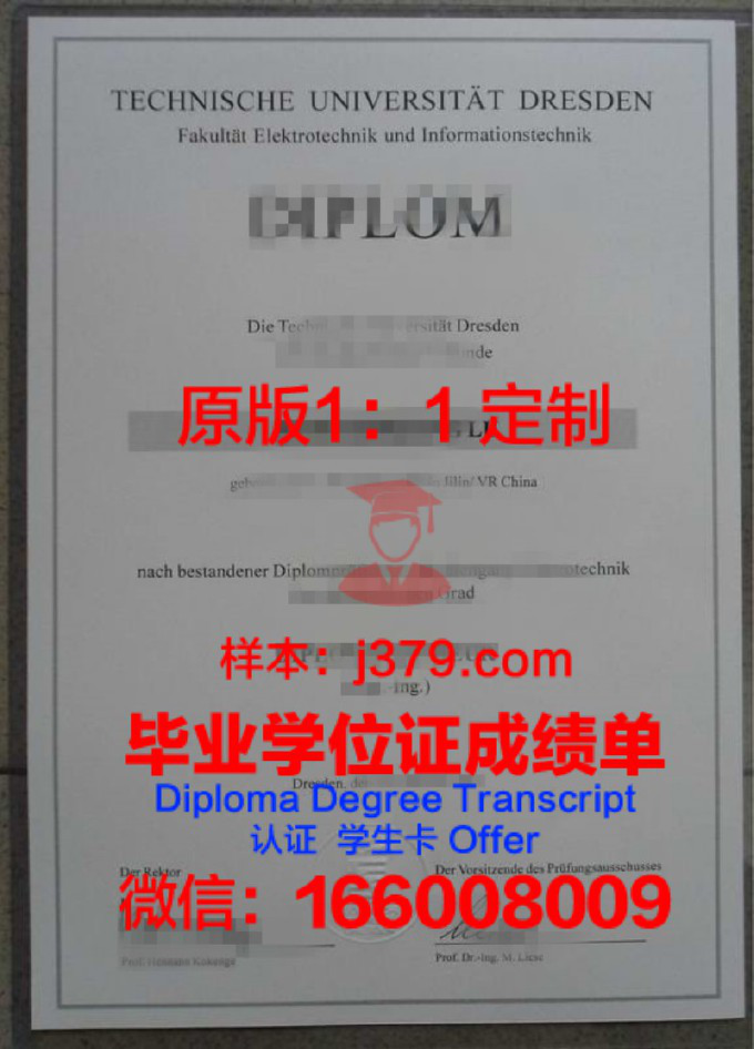 布伦瑞克工业大学diploma证书(布伦瑞克工业大学土木工程)